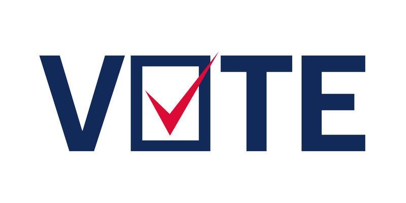election-2024-vote-2024-free-vector